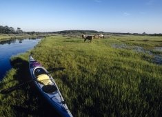 Assateague Island National Seashore