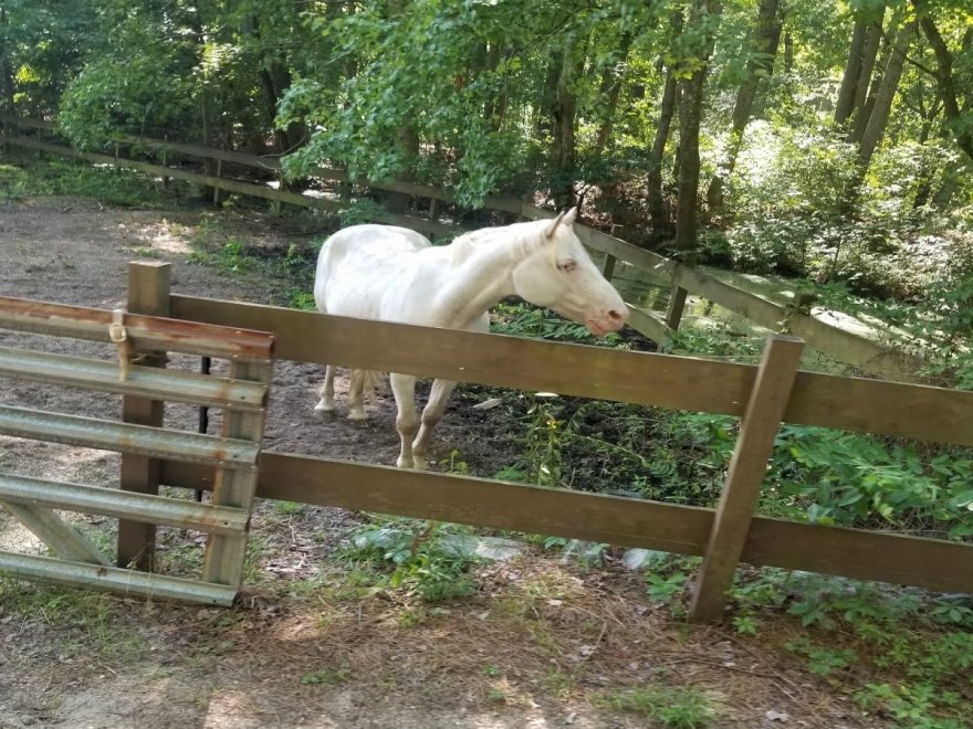 Sun Outdoors Frontier Town Western Theme Park