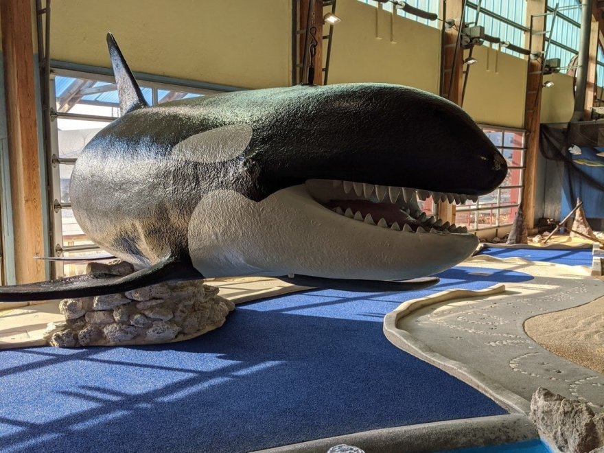 Old Pro Golf - 136th Street