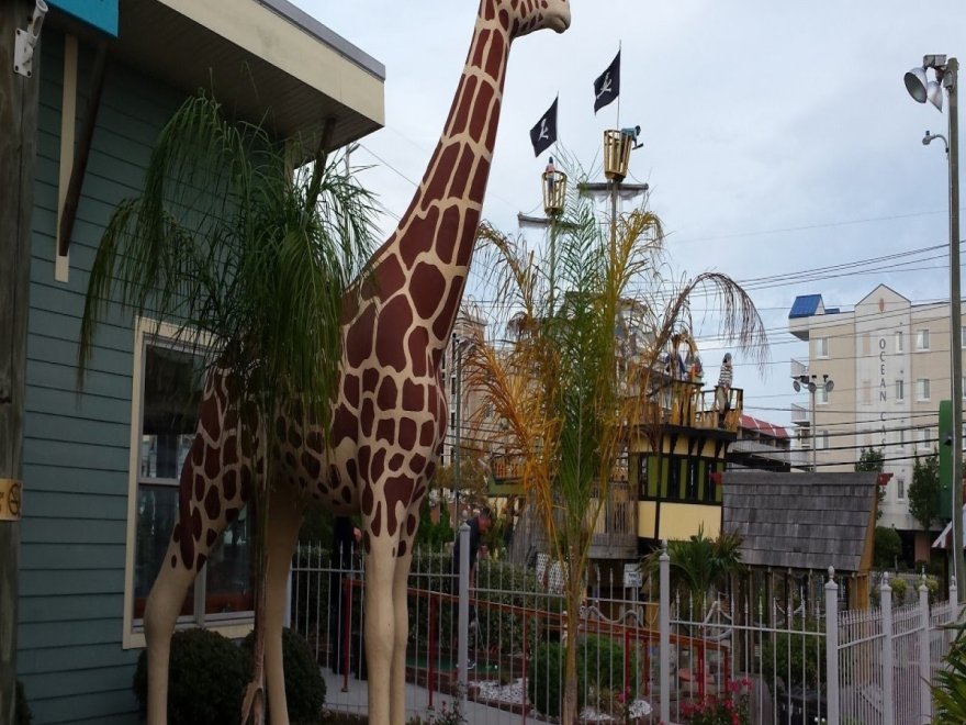 Old Pro Golf - 136th Street