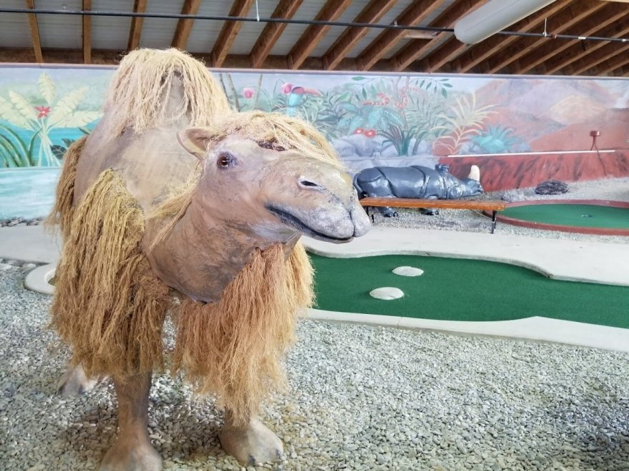 Old Pro Golf - 136th Street