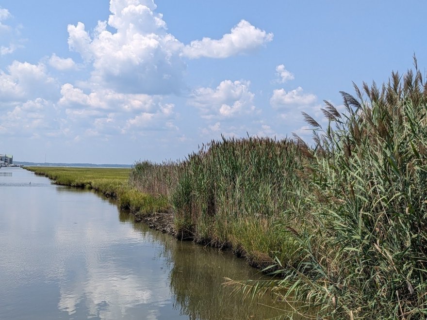 Little Salisbury Neighborhood Park