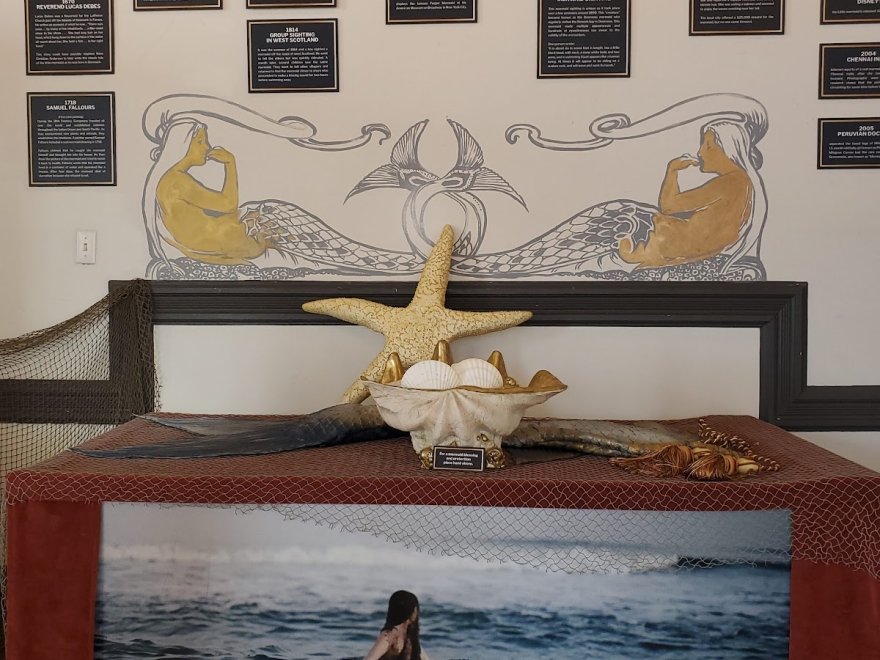 The Mermaid Museum