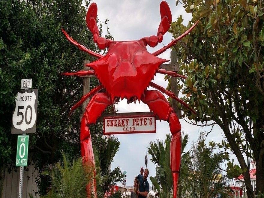 Hooper's Crab House & Sneaky Pete's