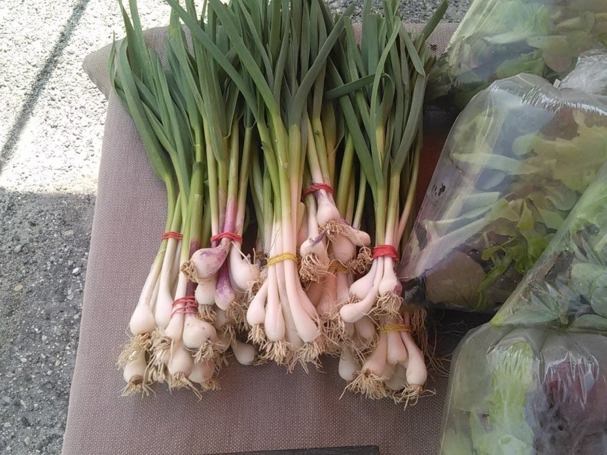 Chesterfield Heirlooms