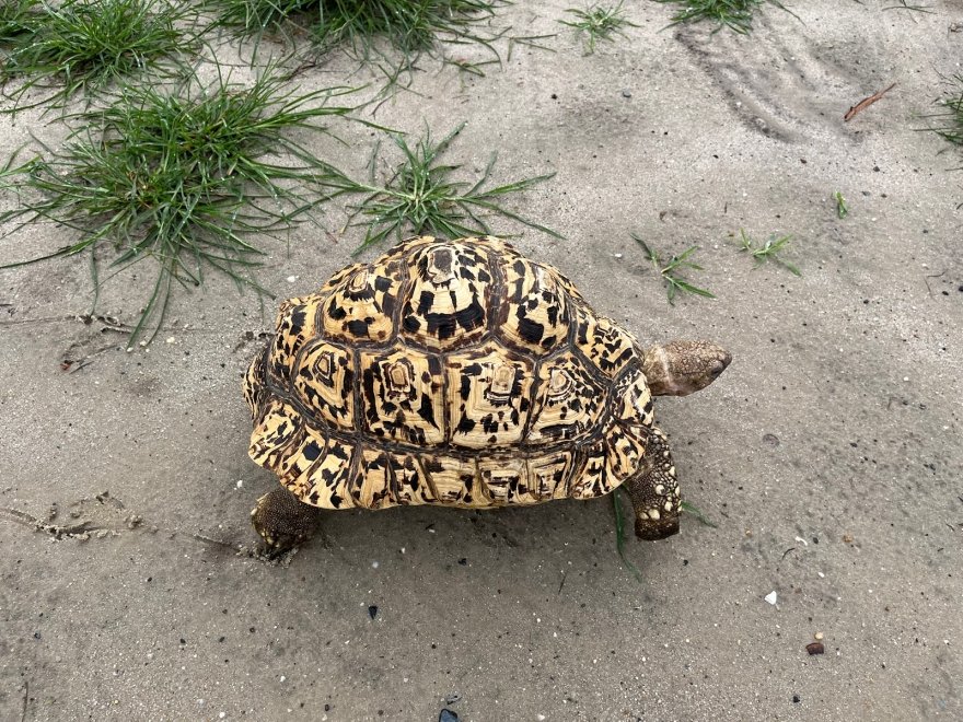 Funny Farm Petting Zoo