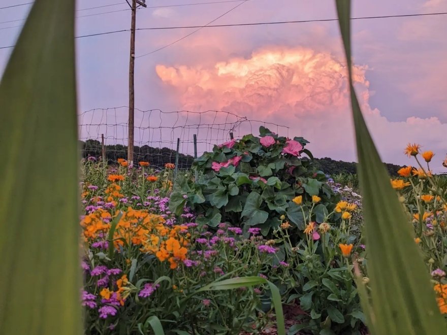 Barefoot Farm Produce