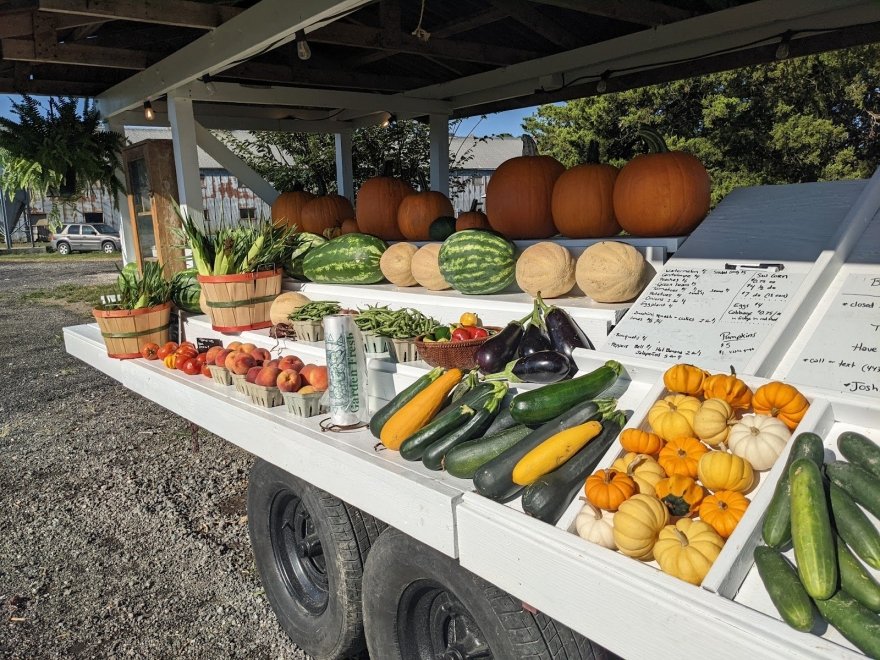 Barefoot Farm Produce